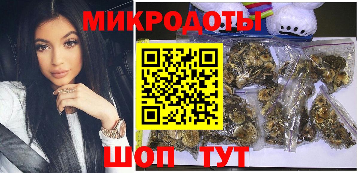 Псилоцибиновые грибы Psilocybine cubensis Ижевск
