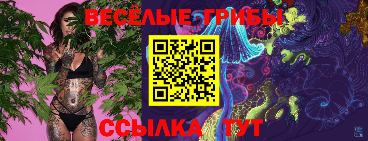 Псилоцибиновые грибы прущие грибы  цены наркотик  Ижевск  Вход с VPN 